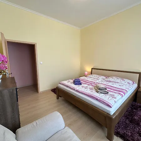 Appartement Zeyerova4 *
