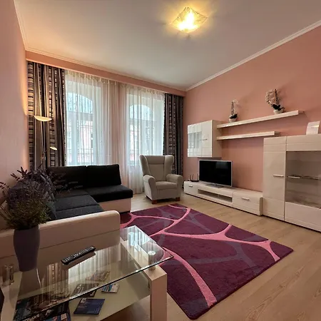 Apartment Zeyerova4 *