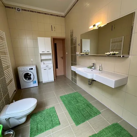 Apartment Zeyerova4 *