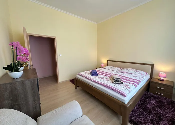 Apartamento Zeyerova4 *